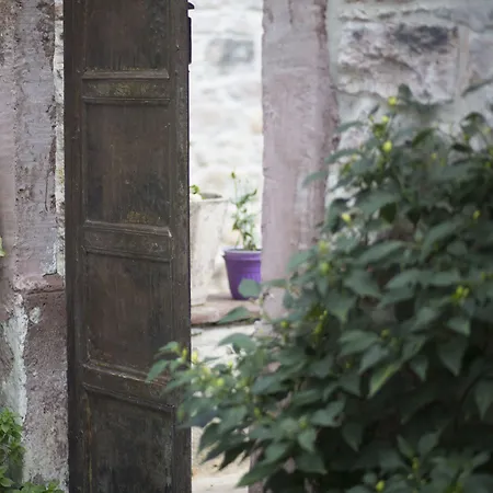 Cavlihane 1885 Ξενοδοχείο Ayvalı