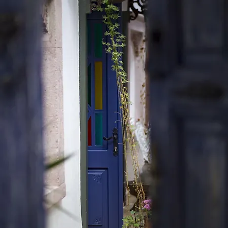 Cavlihane 1885 Ayvalik