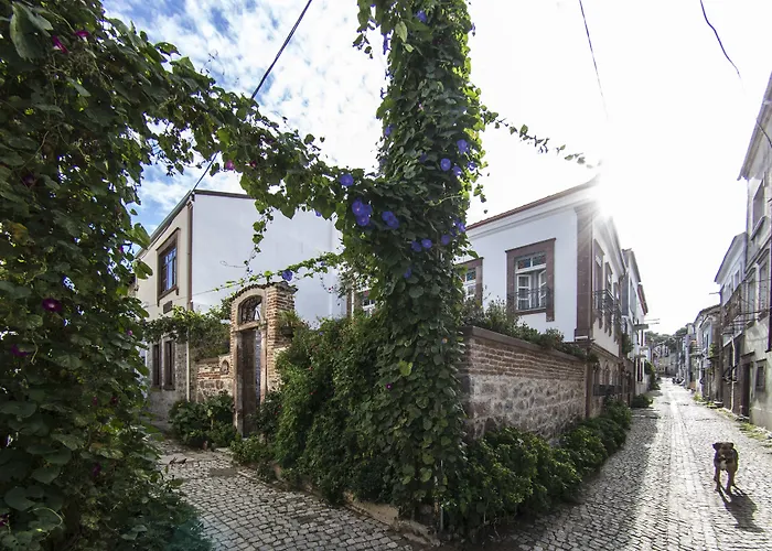 Cavlihane 1885 Hotel Ayvalı