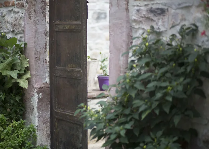 Cavlihane 1885 Hotel Ayvalı