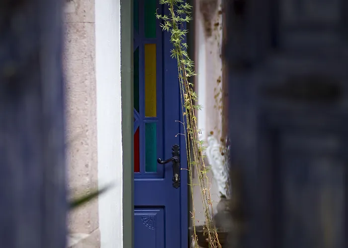 Cavlihane 1885 Ayvalı