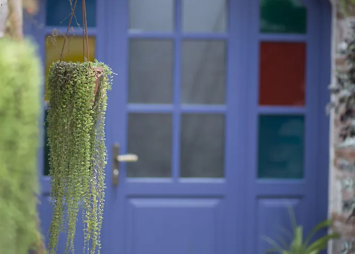 Cavlihane 1885 Hotel Ayvalı