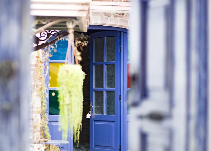 Cavlihane 1885 Ayvalı